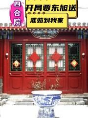 四合院:开局贾东旭送淮茹到我家TXT